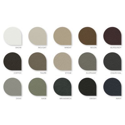 A Bunch of Different Colored Circles on a White Background — Coast 2 Coast Disability Support Services in Taree, NSW