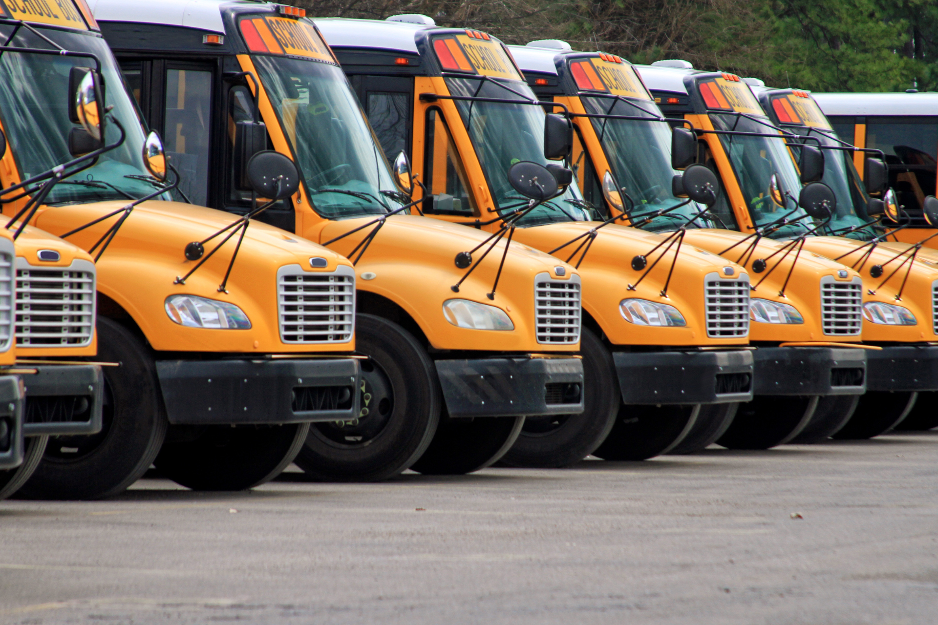 A row of yellow school buses are parked in a parking lot