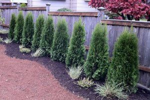 Commercial Landscaping & Sprinkler Installation in Arlington, WA