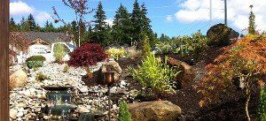 Commercial Landscaping & Sprinkler Installation in Arlington, WA