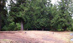 Landscape After, Outdoor Construction Projects in Arlington, VA