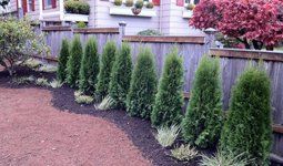 Landscape After, Outdoor Construction Projects in Arlington, VA