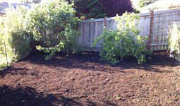 Landscape After, Outdoor Construction Projects in Arlington, VA