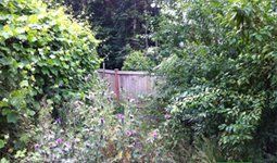 Landscape Before, Outdoor Construction Projects in Arlington, VA