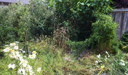 Landscape Before, Outdoor Construction Projects in Arlington, VA