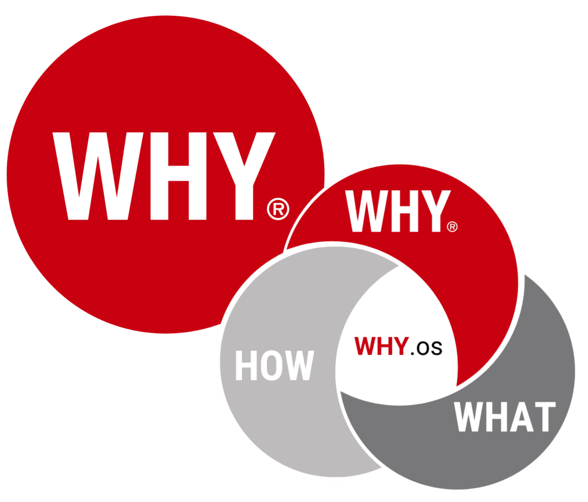 why-discovery-the-why-doctor