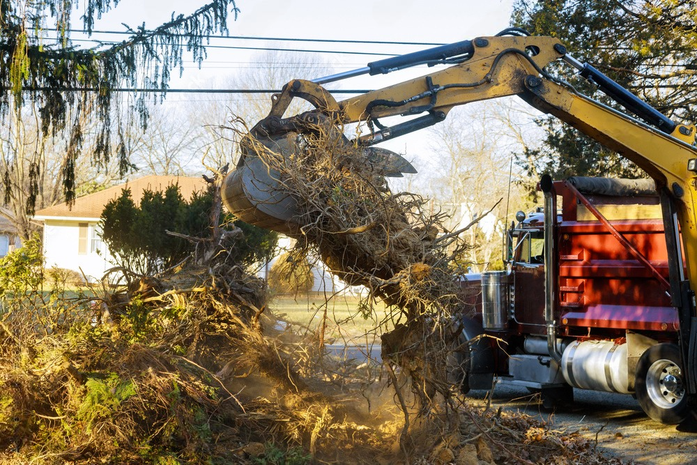 a bulldozer is scooping branches out of a truck .