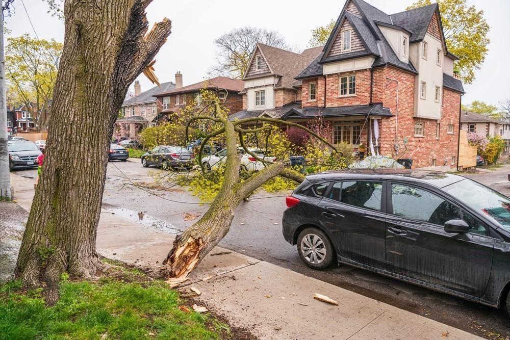 a car is parked on the side of the road next to a fallen tree .