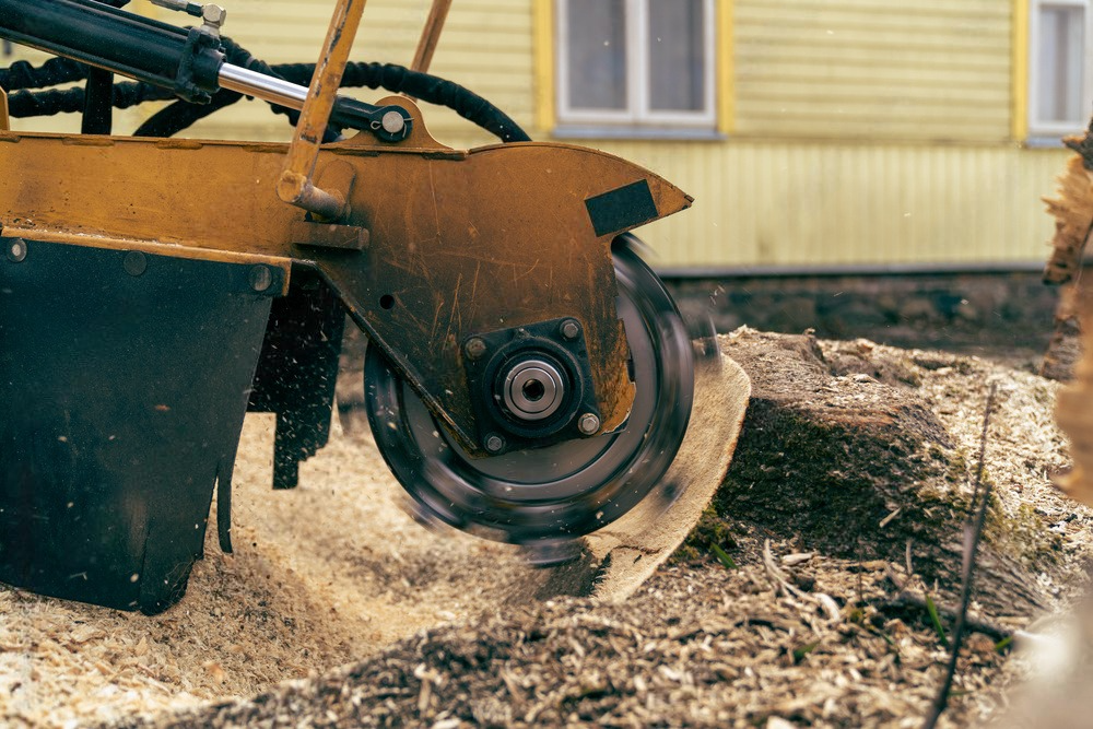 a machine is cutting a tree stump in the ground .