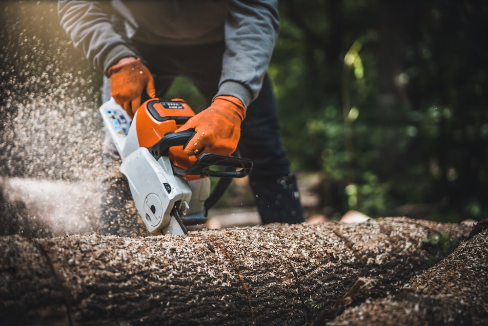 a man is cutting a log with a chainsaw .