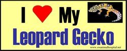 I Love My Leopard Gecko — Beaverton, OR — Southwest Animal Hospital