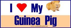 I Love My Guinea Pig — Beaverton, OR — Southwest Animal Hospital