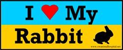 I Love My Rabbit — Beaverton, OR — Southwest Animal Hospital