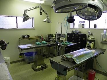 Surgery Room — Beaverton, OR — Southwest Animal Hospital