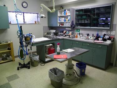 Treatment Room — Beaverton, OR — Southwest Animal Hospital