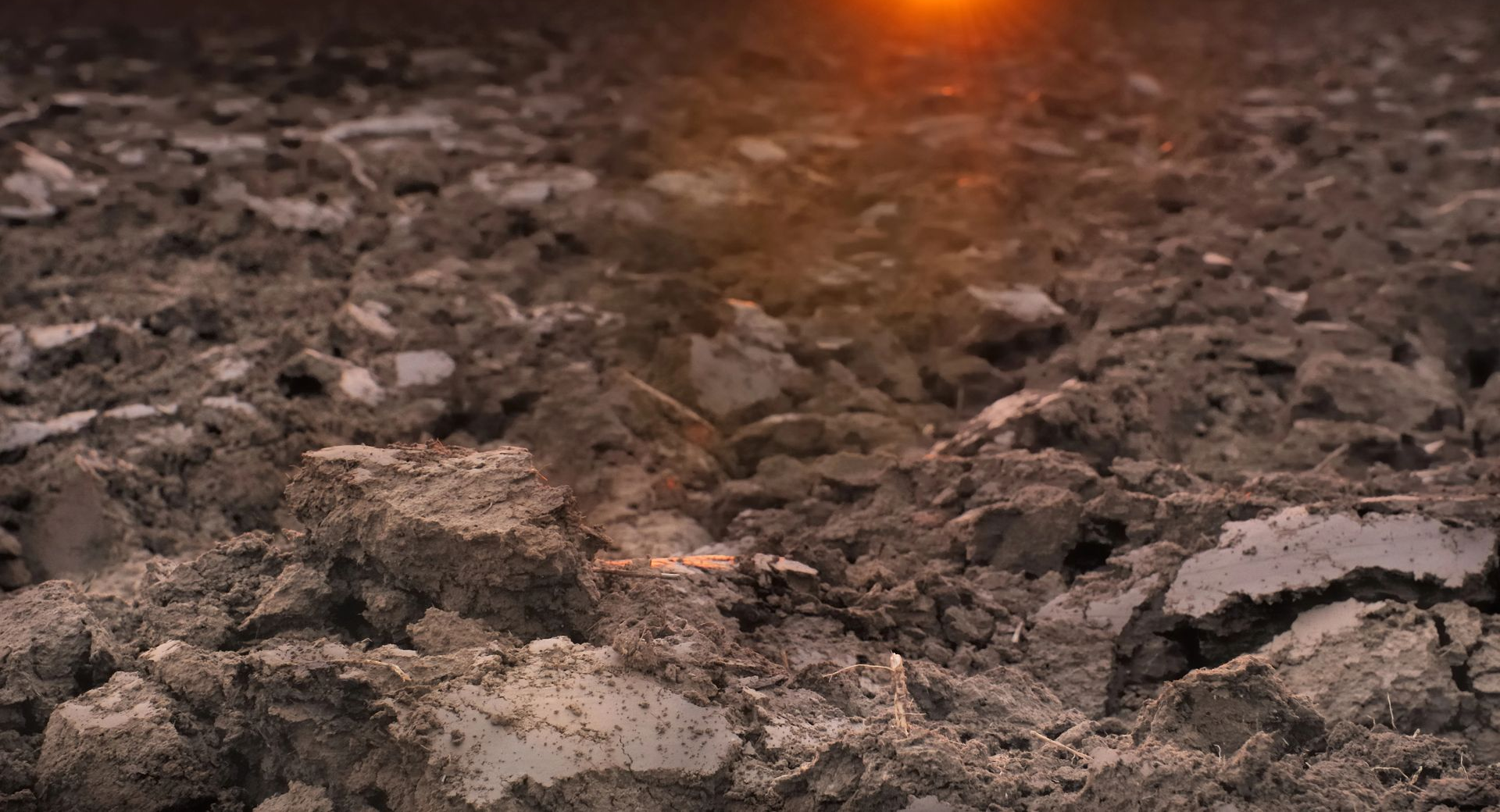 scavi e movimento terra