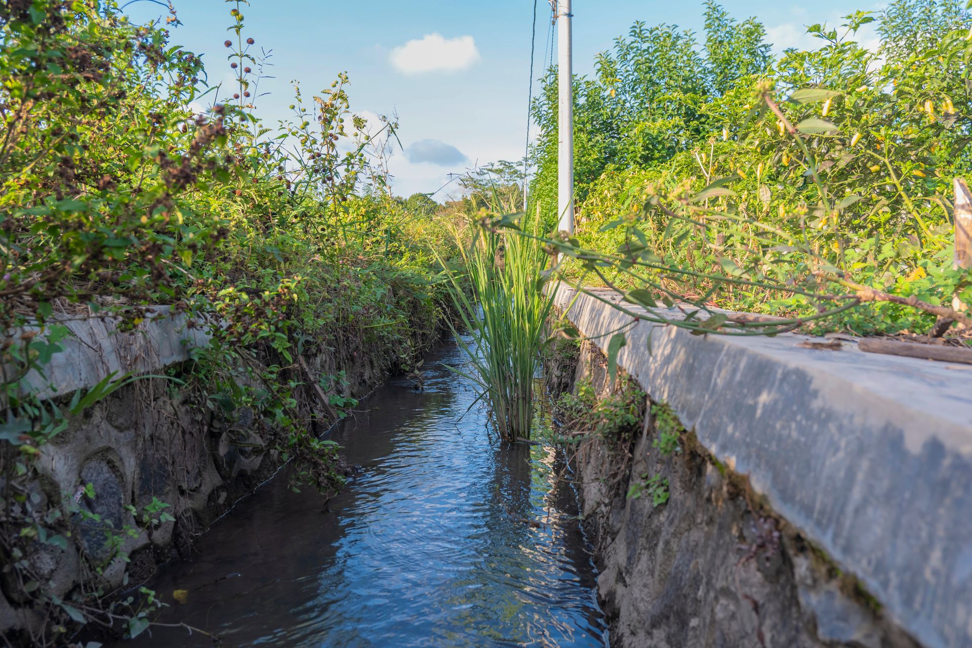 pulizia argini canale di irrigazione