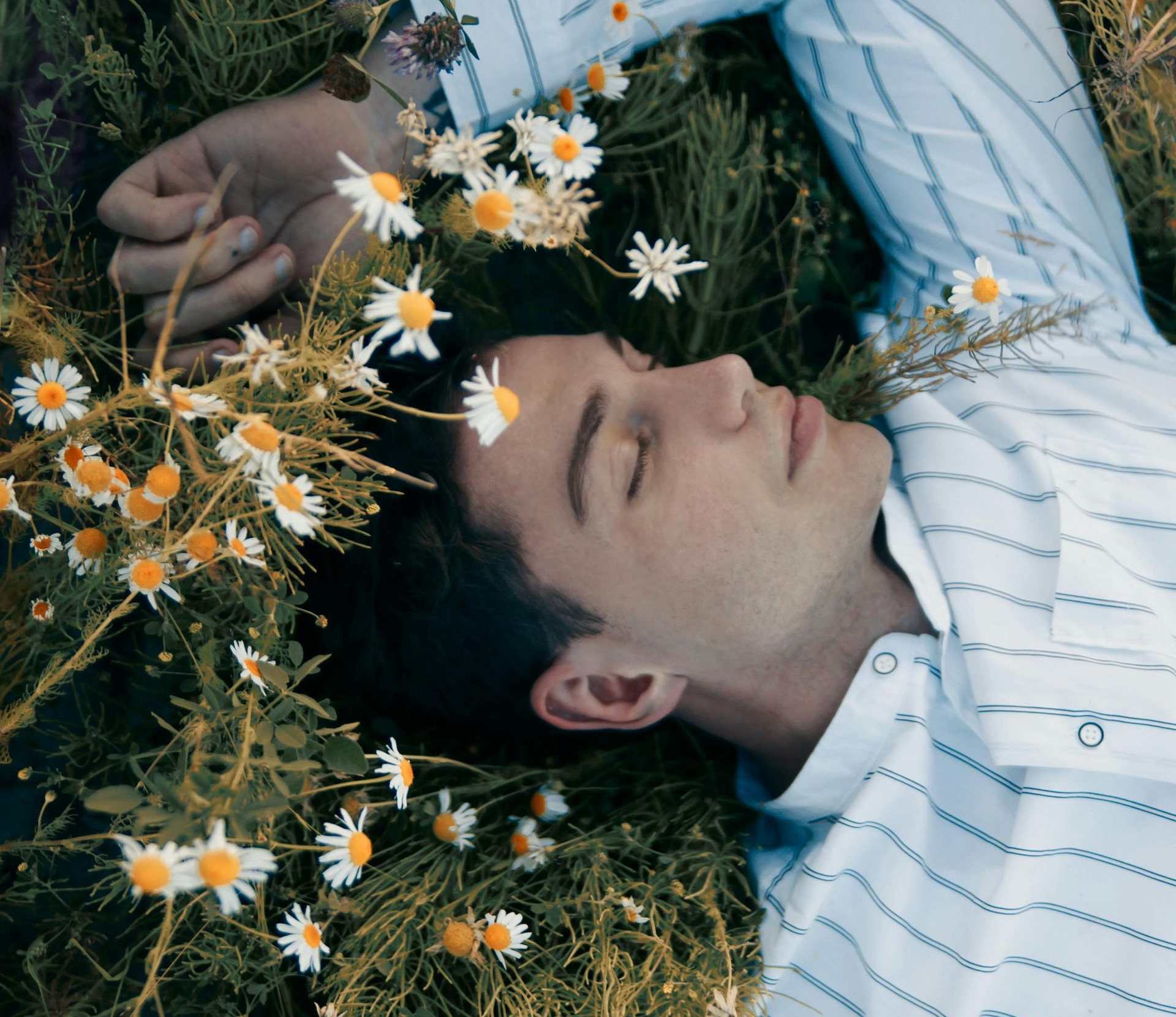 hypnosis charlotte nc