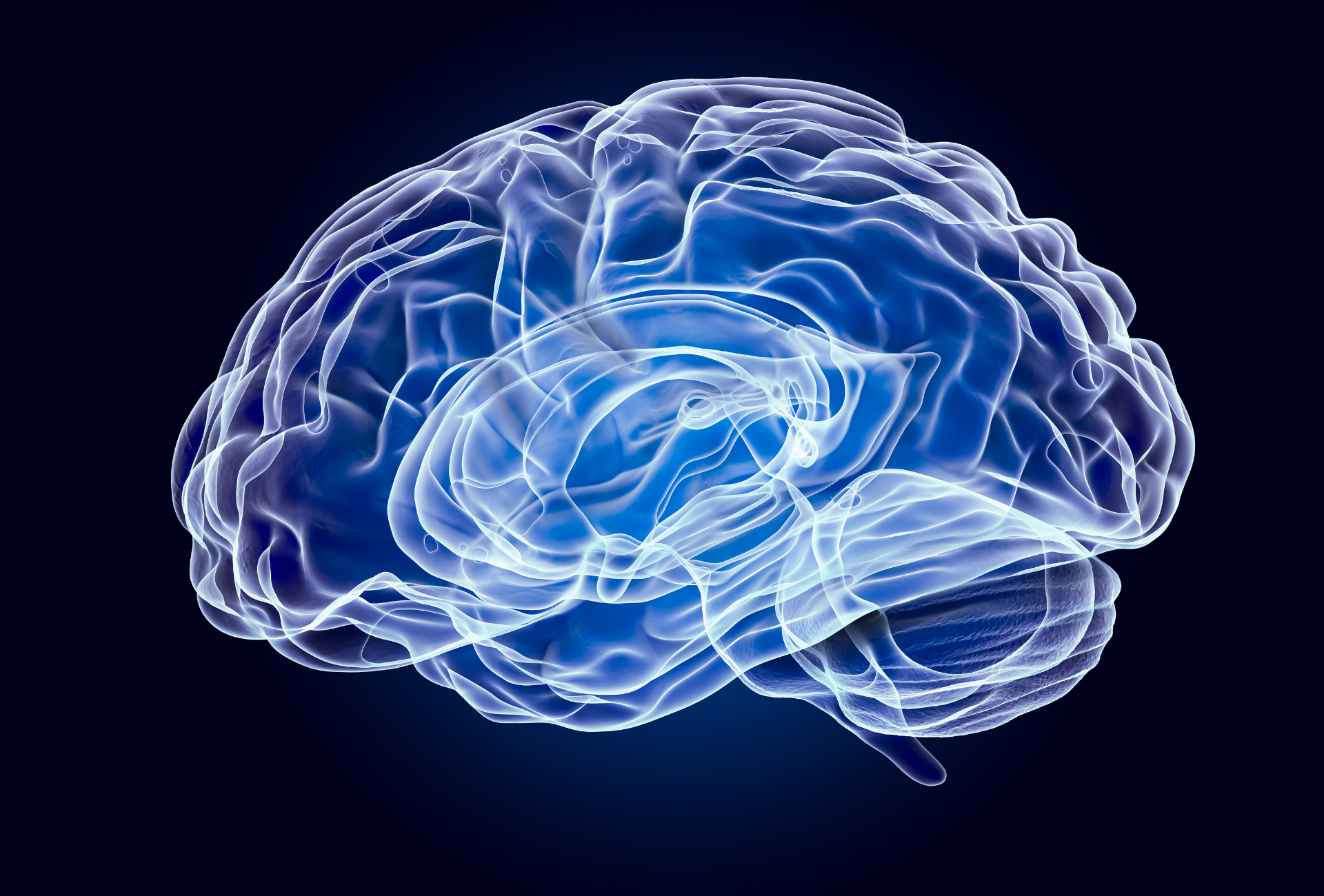 A computer generated image of a human brain on a dark blue background