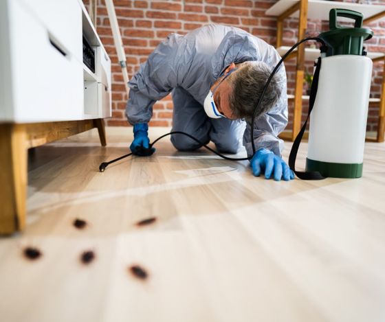 bed bug service in West Palm Beach