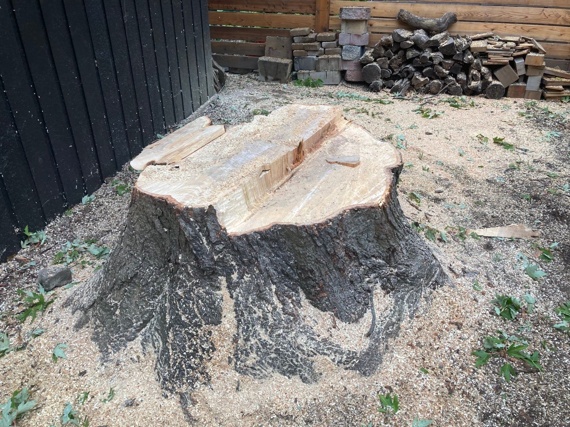 Tree stump with wood shavings, near a dark building and a pile of firewood.