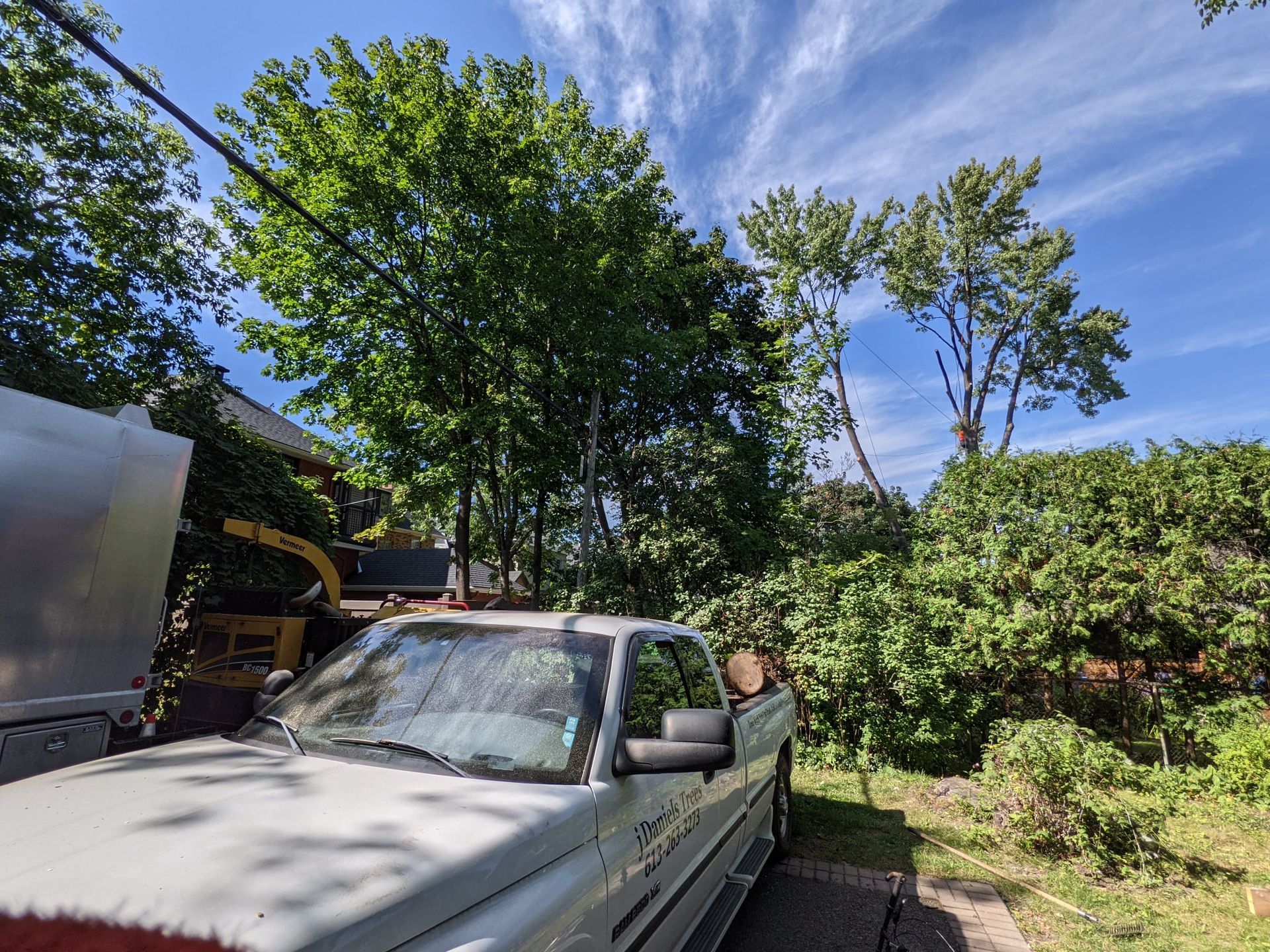 A tree being trimmed near a house, branches in a truck bed, sunny day.