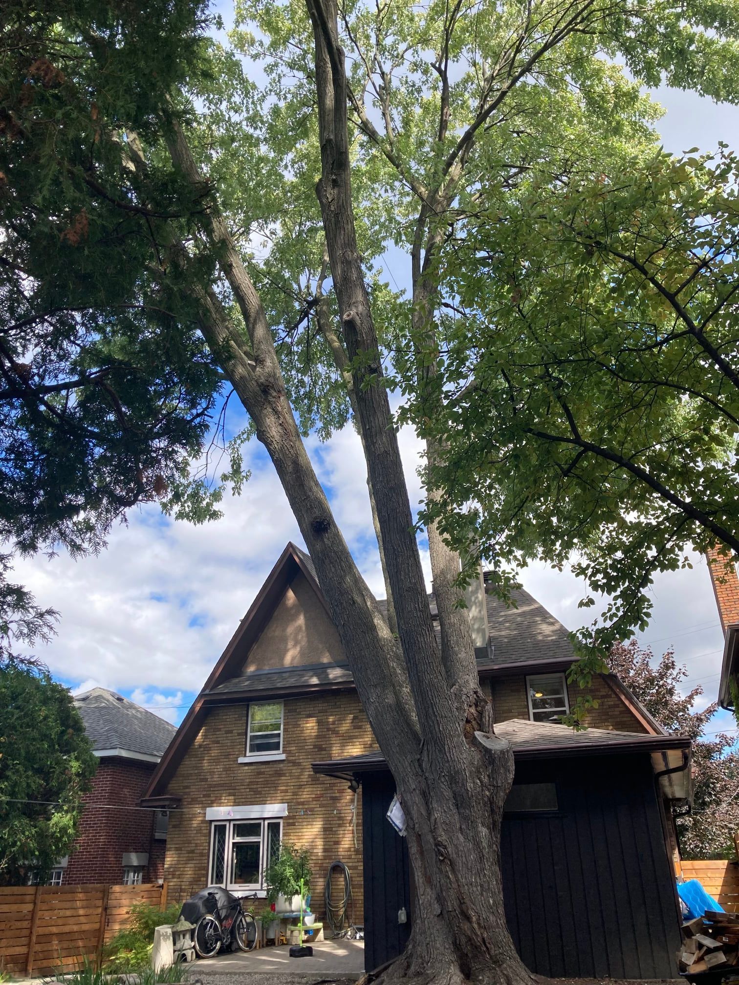 A large tree stands in front of a stone house with a dark roof and windows, cloudy sky.