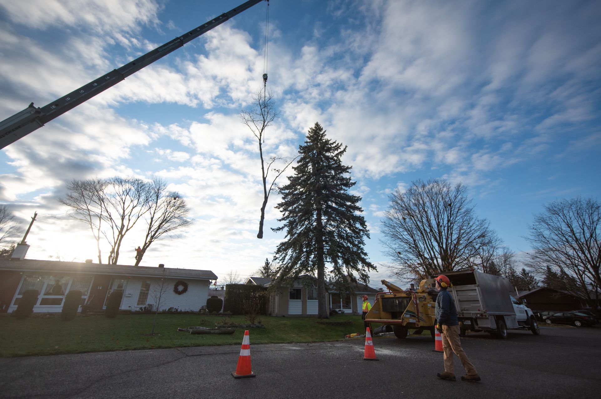 A crane lifts a bare tree, with workers and equipment in a residential neighborhood under a cloudy sky.