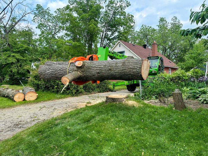 A house with a snowy roof, trees, and a crane against a bright blue sky. A person stands near the house.