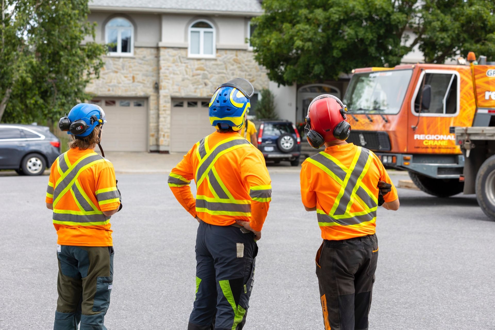 Three tree workers in safety gear stand in a street near a truck, facing away.