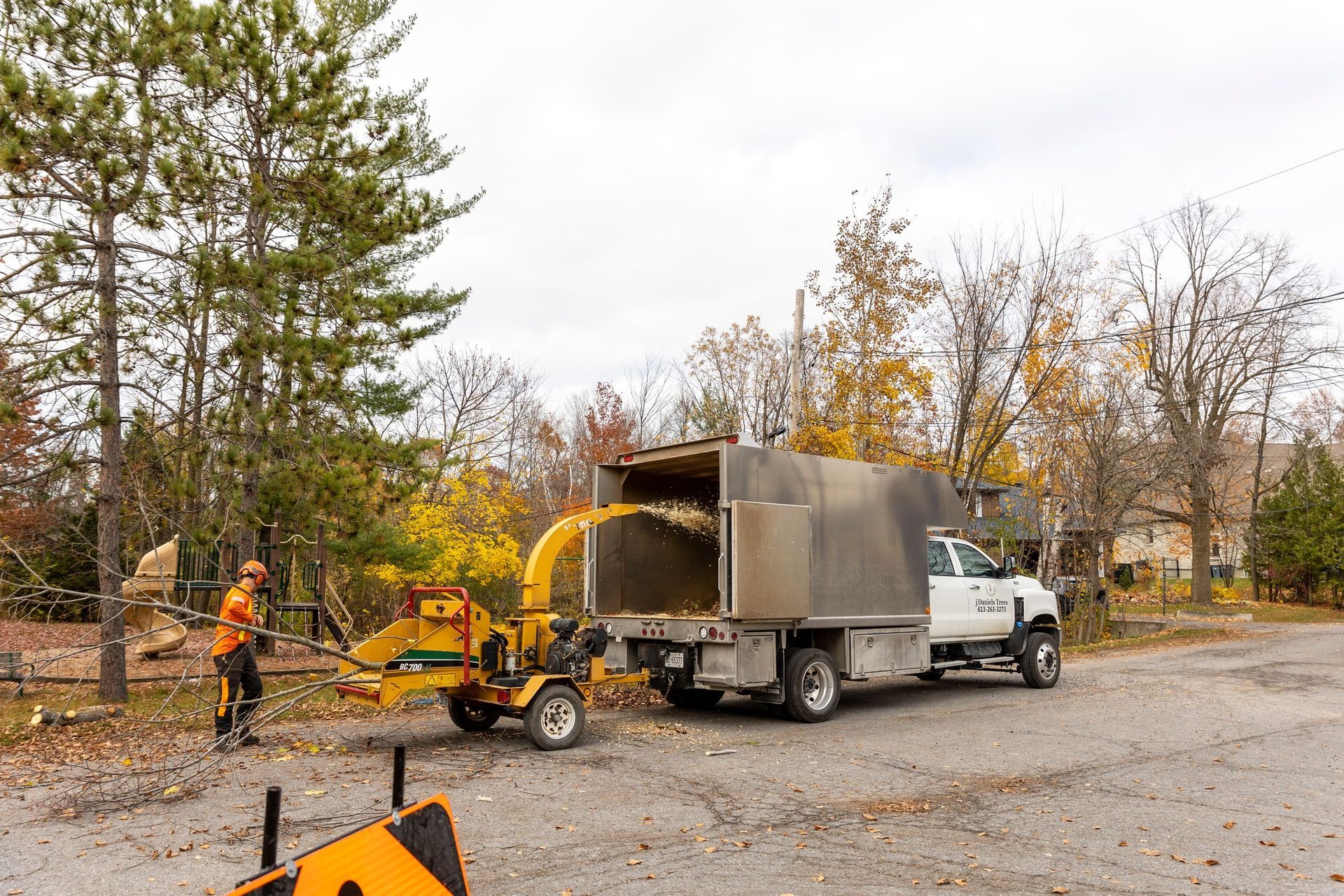 Man feeds a wood chipper that is connected to a truck; autumn leaves and debris.