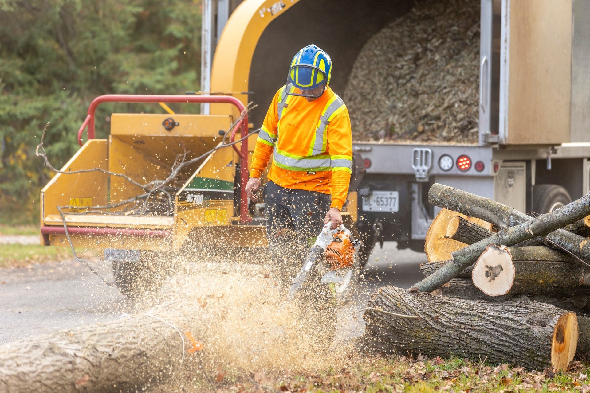 Arborist using chainsaw, cutting log into pieces, with wood chipper and truck nearby.