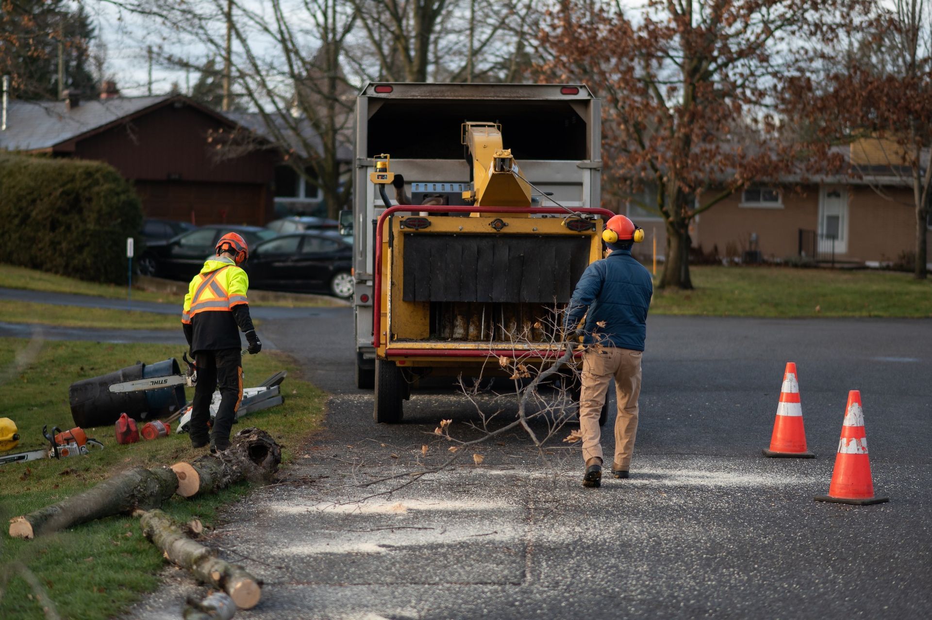 Two workers feeding branches into a wood chipper on a street, one sawing a log.