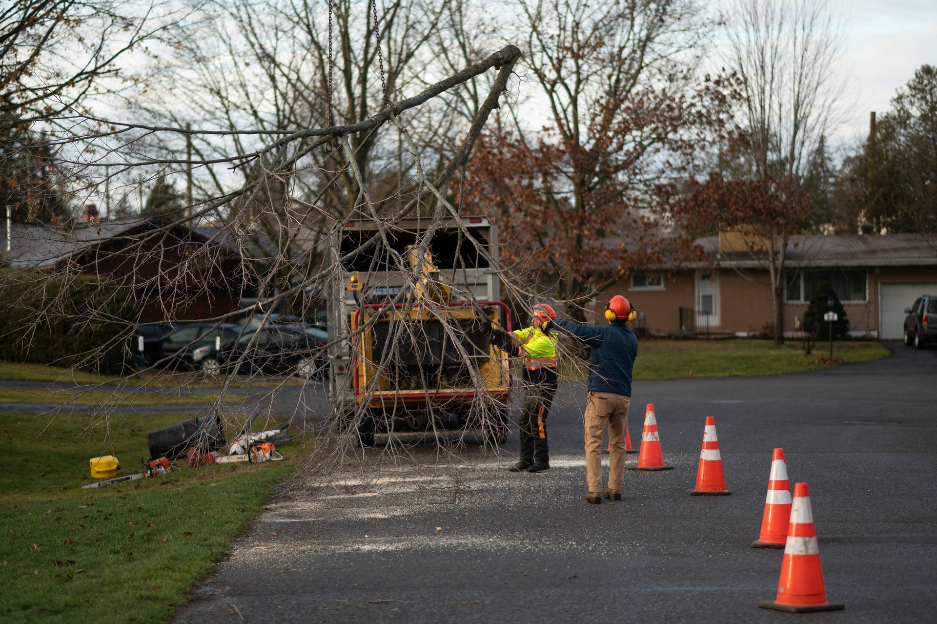 Tree service workers loading a tree branch into a chipper. Orange cones mark the road.