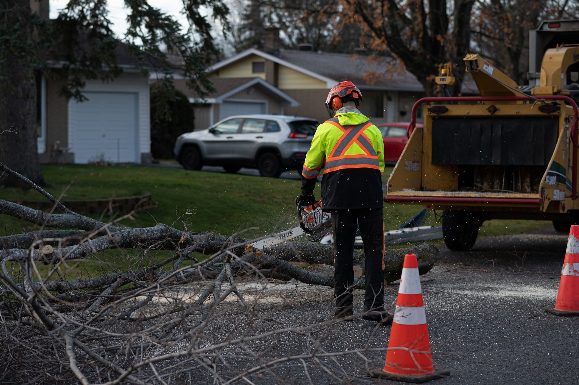 A tree worker in safety gear using a chainsaw to cut branches on a street. A wood chipper is nearby.