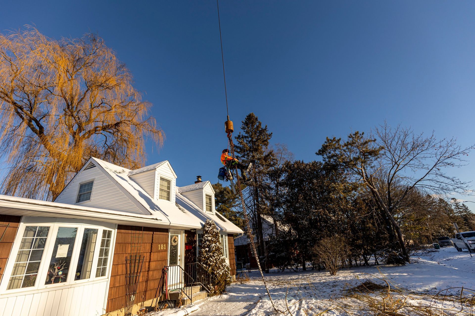 Snowy scene: two people working on a tree limb. House and large willow tree on the left, blue sky.