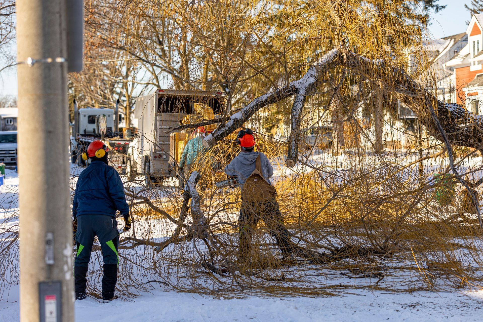 Three workers in safety gear cutting a fallen tree on a snow-covered street, with trucks in the background.