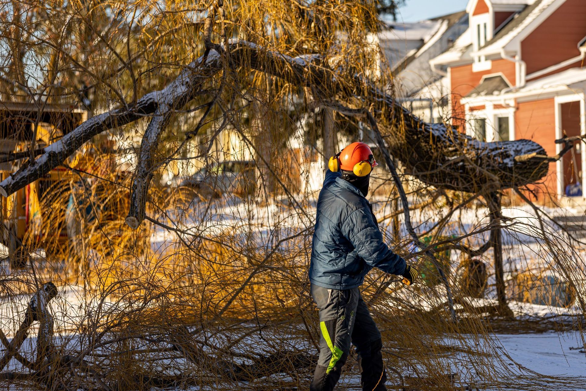 Man in orange hardhat cuts a snow-covered tree branch in front of a red brick house.