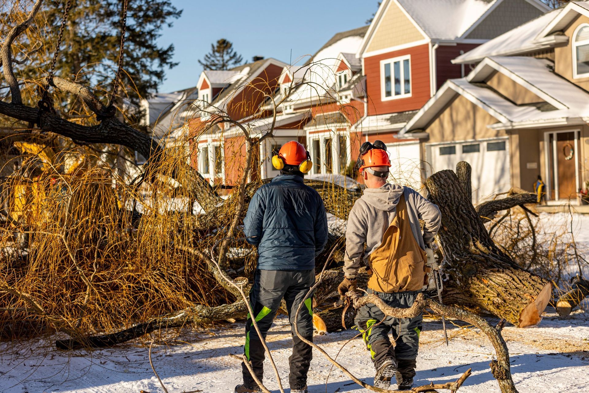 Two tree workers inspect a fallen tree in a snowy residential area.