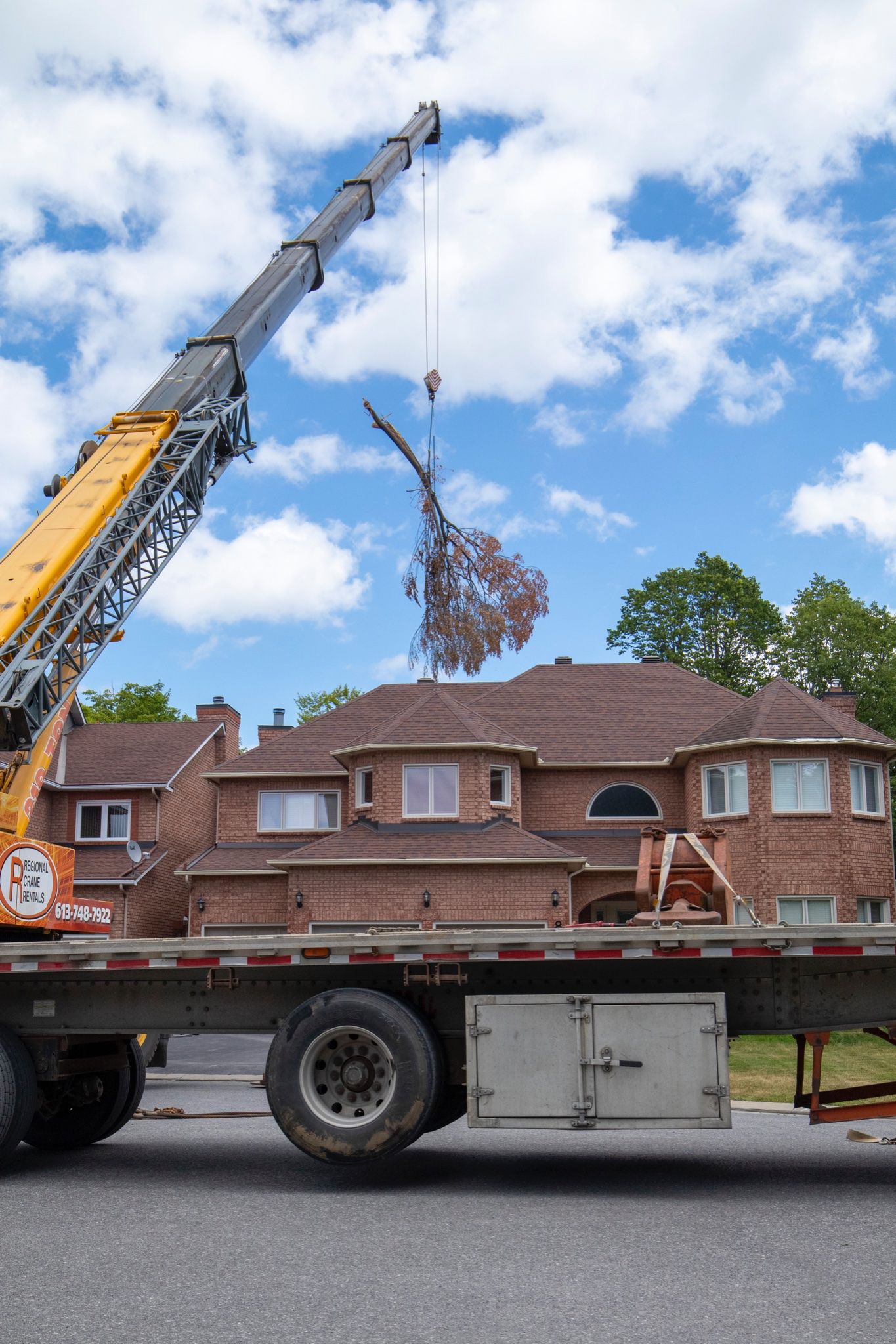 Crane lifting a tree branch over a brick house on a sunny day.