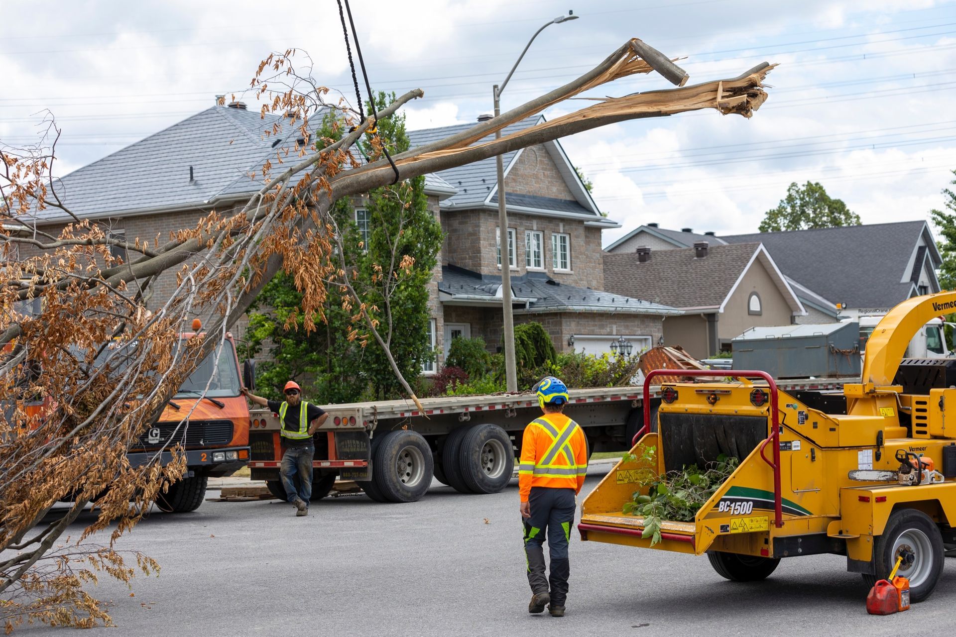 Tree removal crew working on a damaged tree in a residential street, near a house and a yellow wood chipper.
