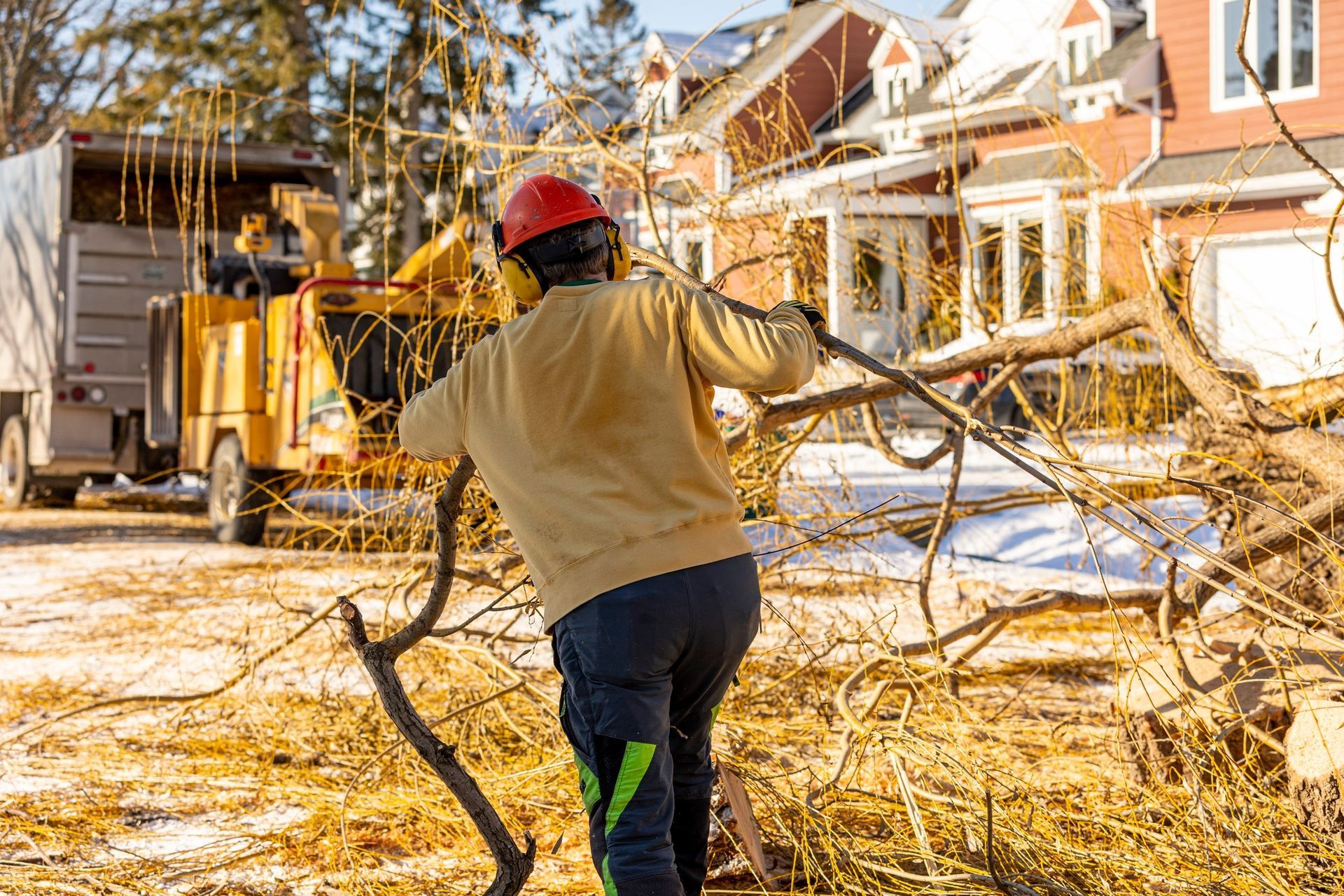 Arborist feeding tree branches into a wood chipper in front of a house.
