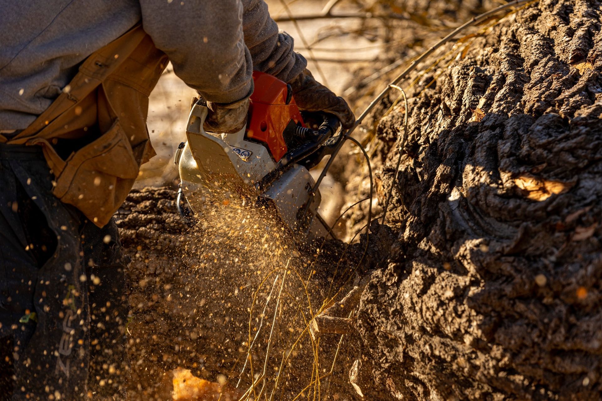 Person in work clothes using a chainsaw to cut through a thick, brown tree trunk; sawdust flies.