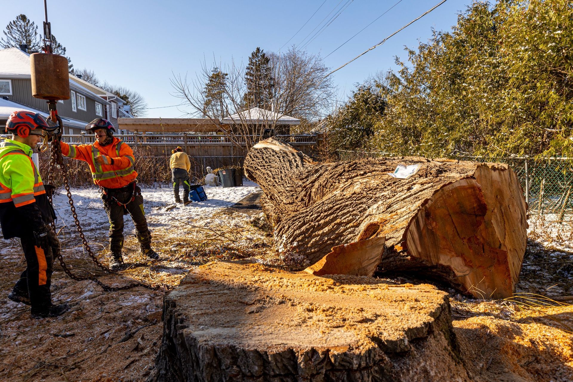 Tree service workers cutting a large tree trunk with a crane on a snowy day.