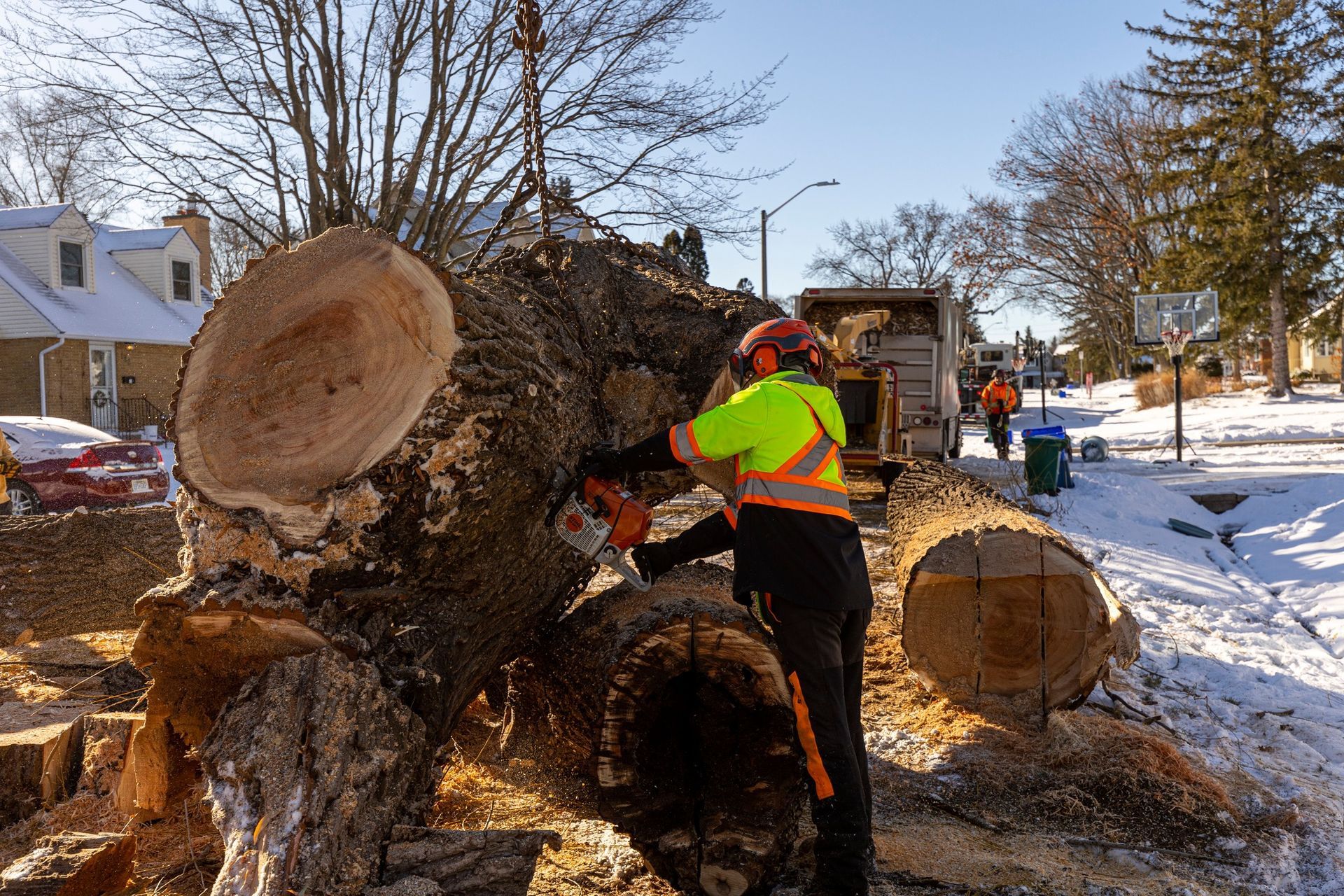 A worker in safety gear uses a chainsaw on a large fallen tree in a snowy residential area.