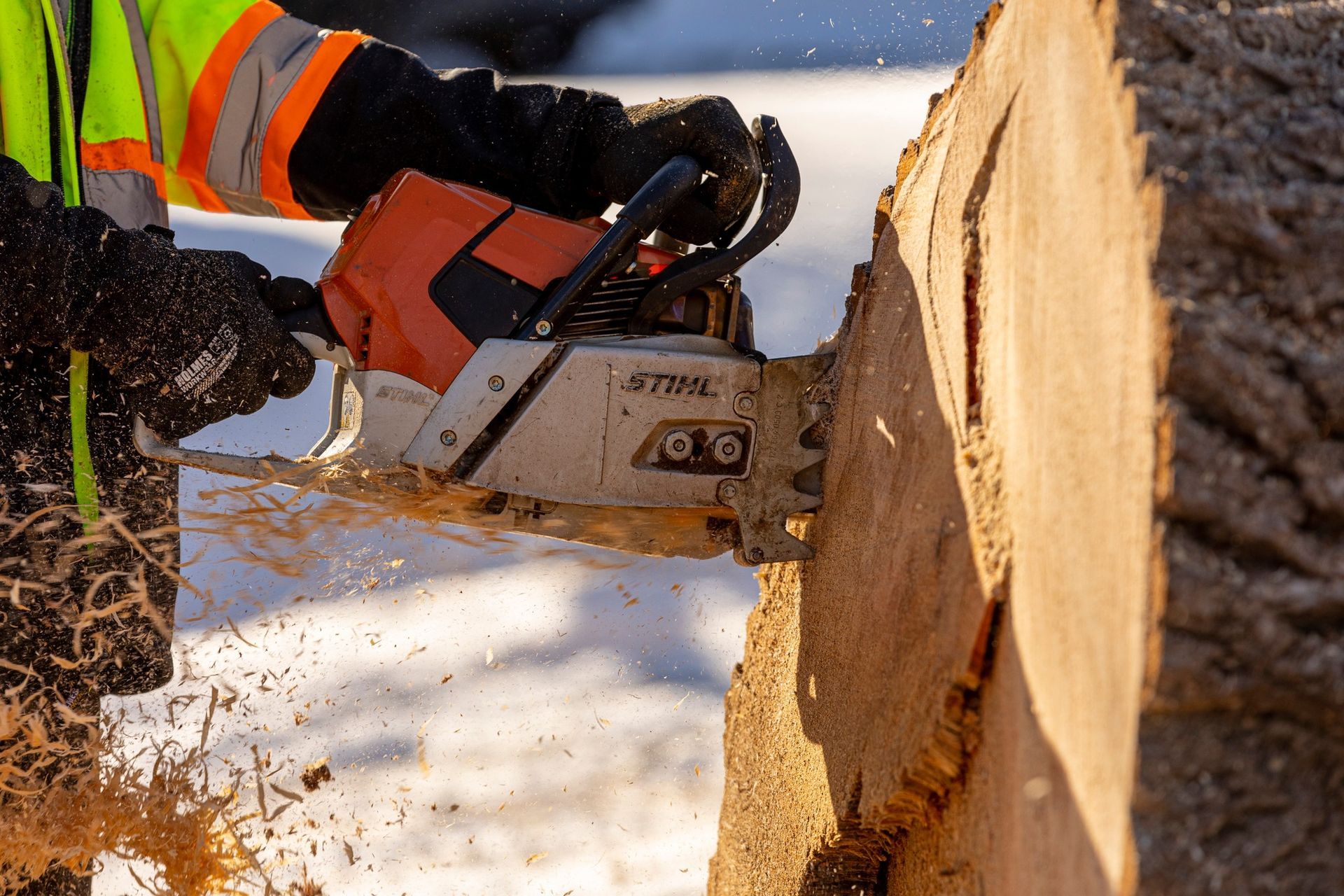 Person using a chainsaw to cut a large, light-brown log in a snowy outdoor setting.