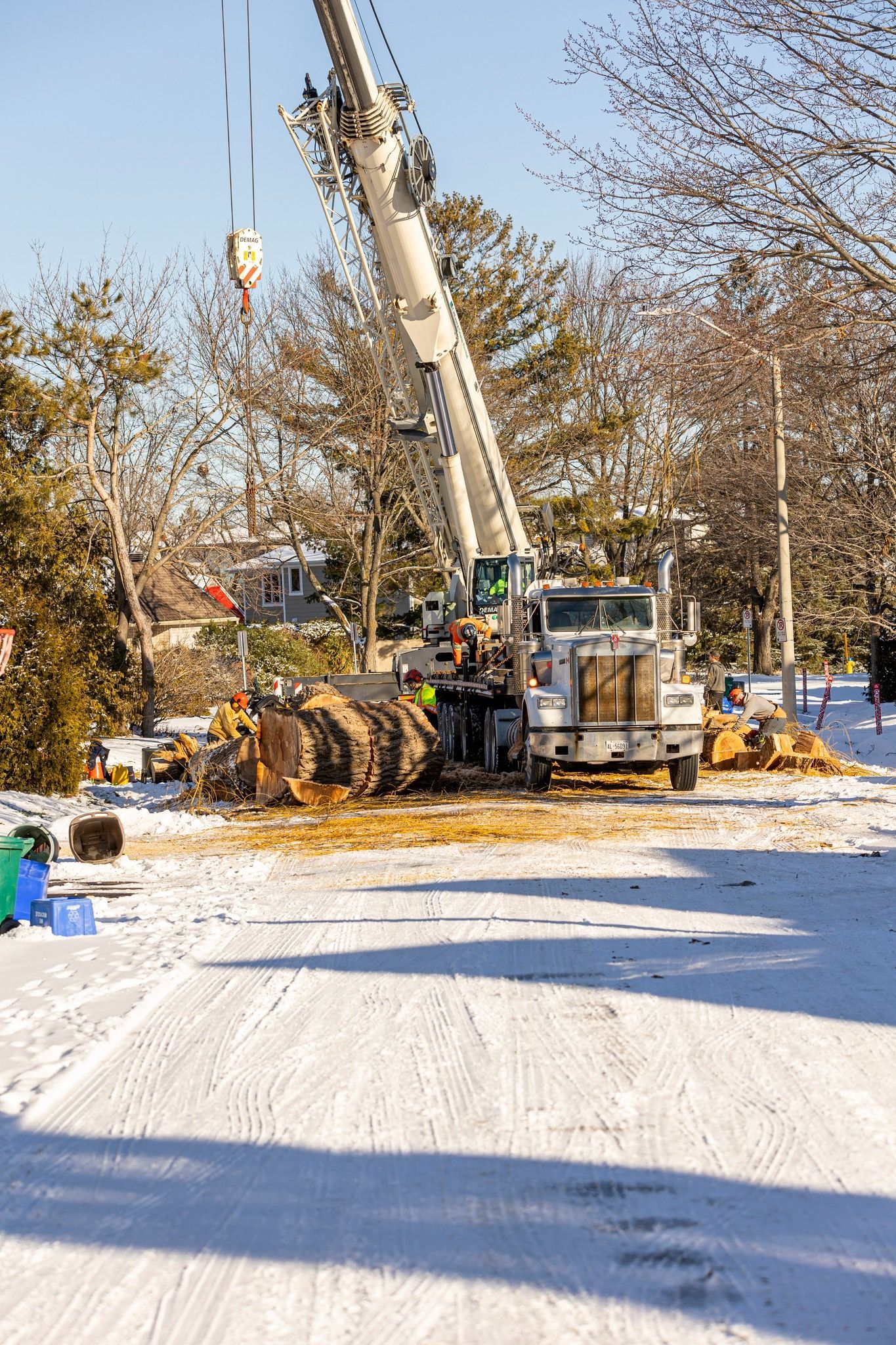 A large crane lifting tree trunk pieces, snow-covered ground, sunlight.