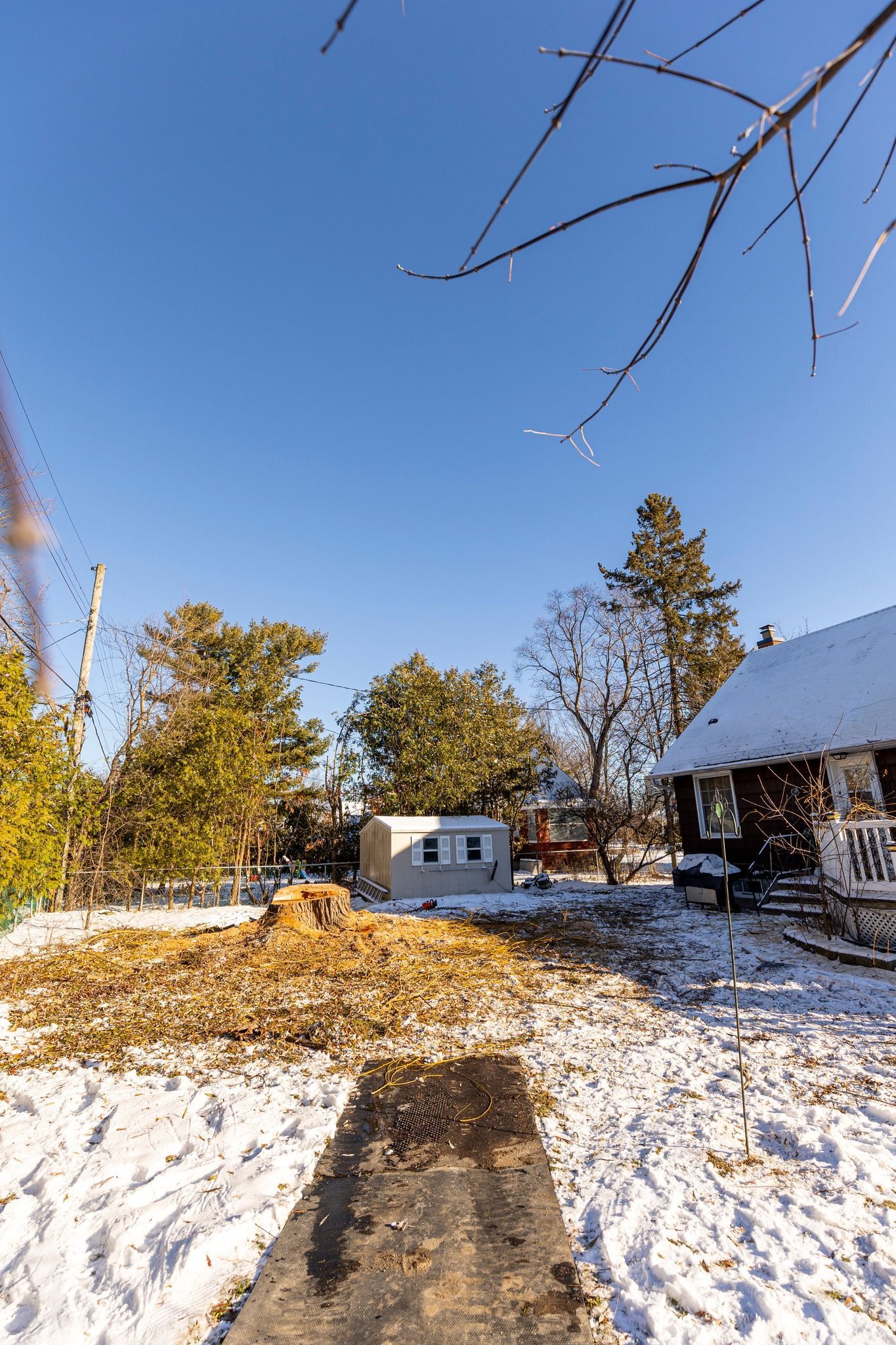 Snowy backyard scene with trees, a shed, and a house under a clear blue sky.