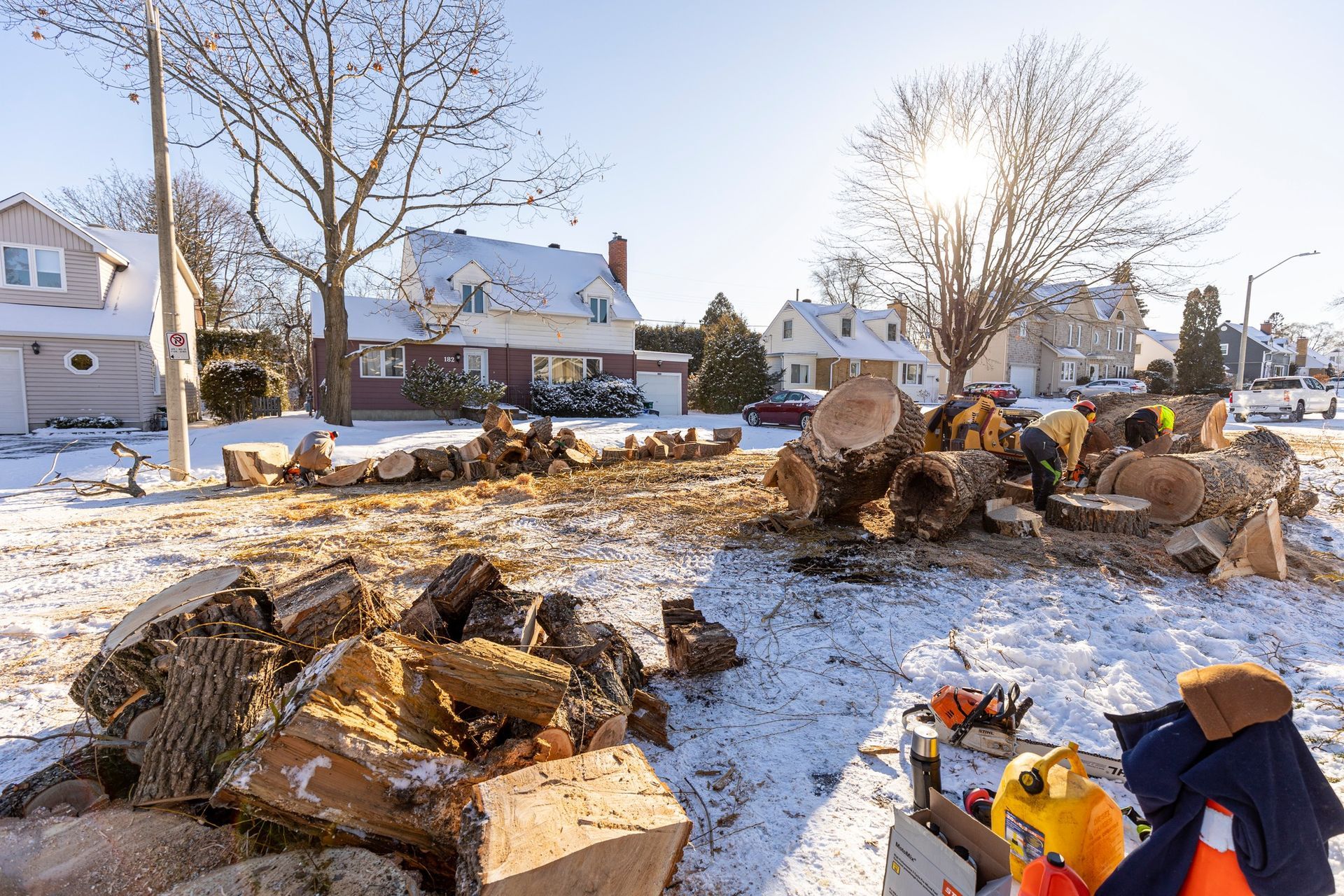 Snowy scene of tree logs and debris on a street, with houses in the background and bright sunlight.