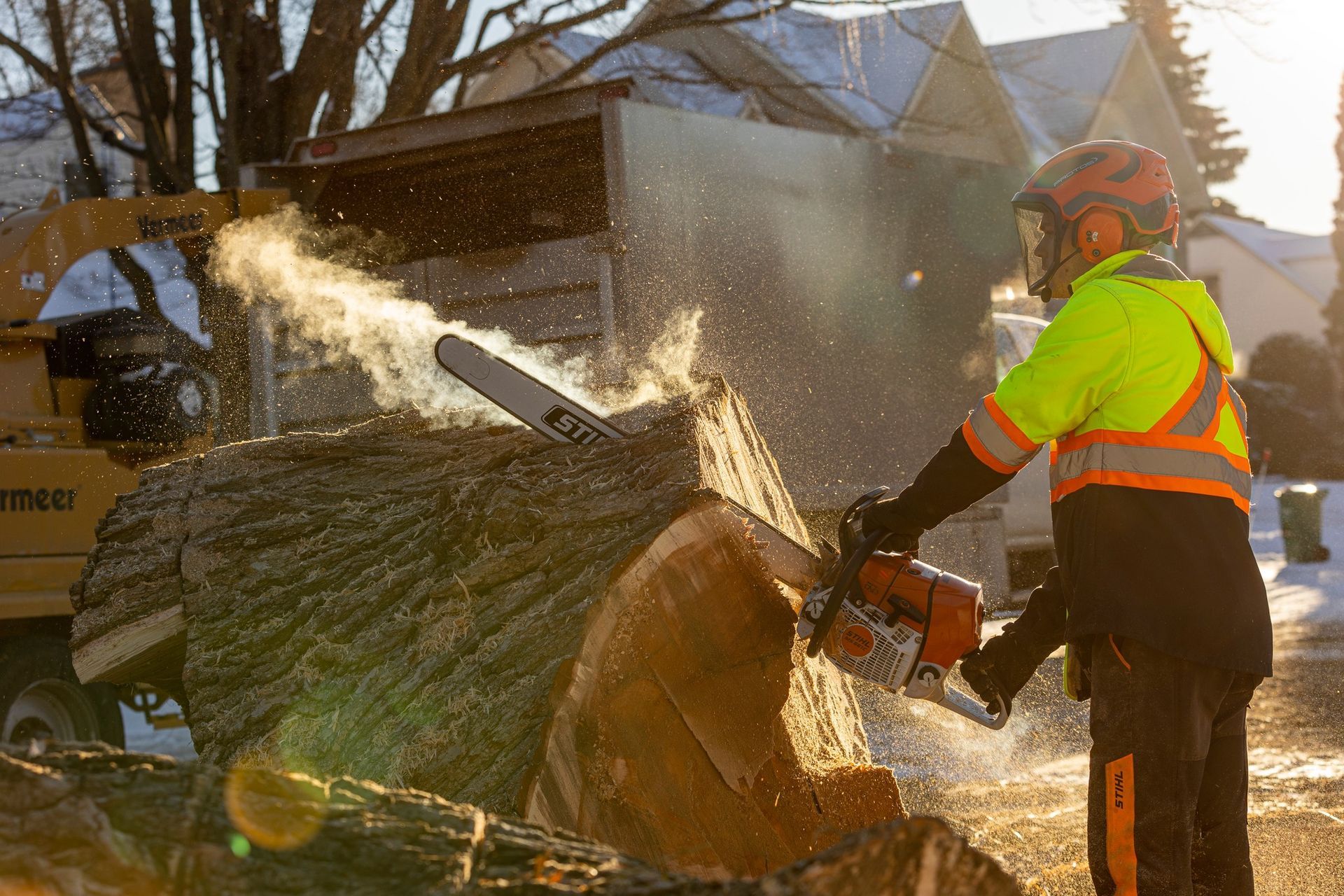 Arborist using chainsaw on a large log; protective gear and wood chipper in a sunny outdoor setting.